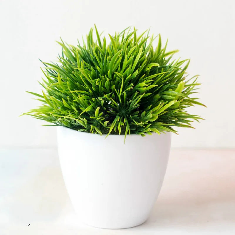 Mini Indoor Bonsai Tree Planters