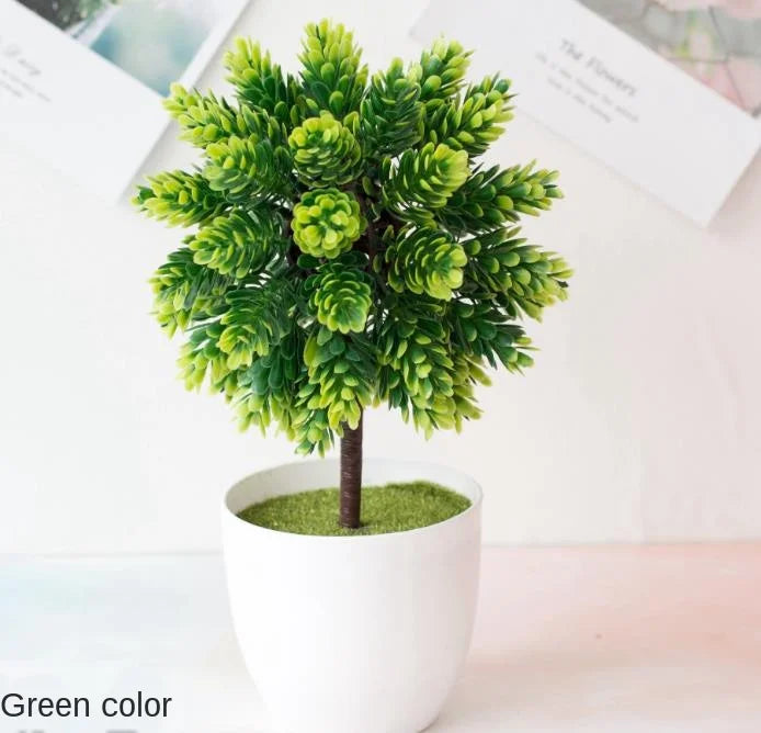 Mini Indoor Bonsai Tree Planters