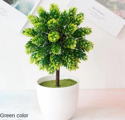 Mini Indoor Bonsai Tree Planters