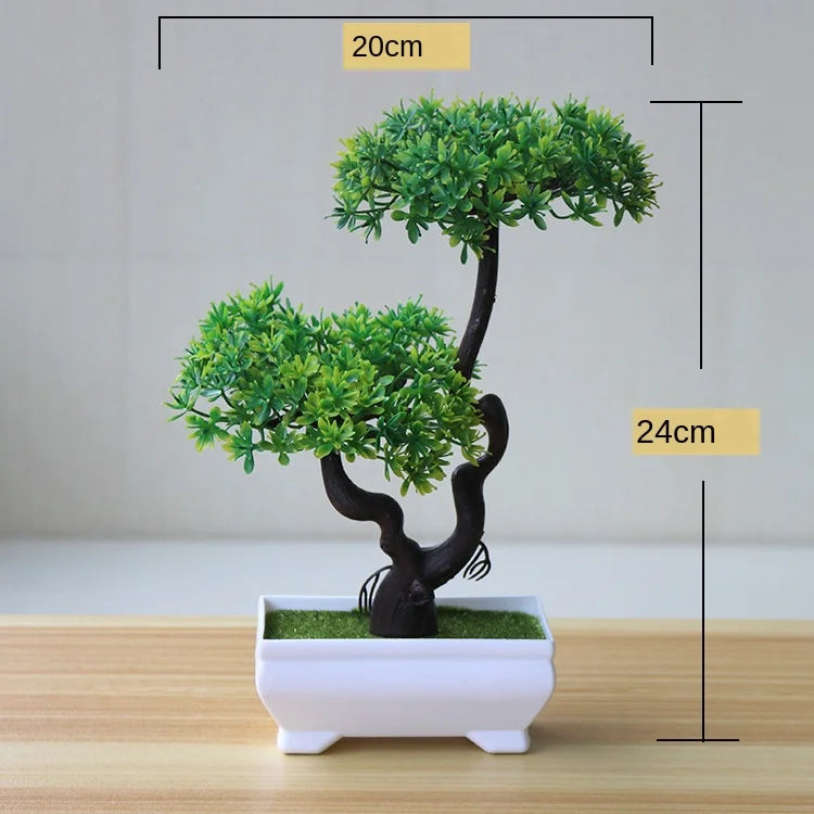 Mini Indoor Bonsai Tree Planters