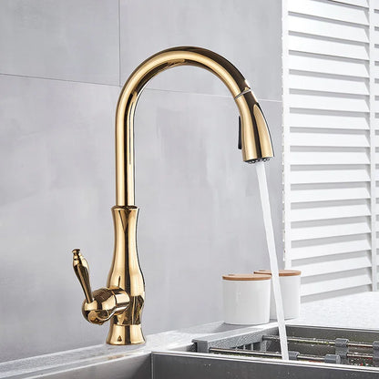 Premium Gold Kitchen Sink Faucet