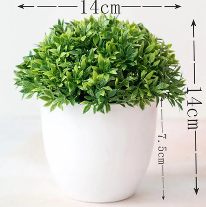 Mini Indoor Bonsai Tree Planters - Yeezlab