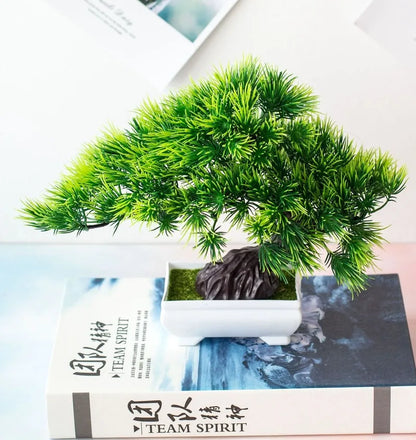 Mini Indoor Bonsai Tree Planters