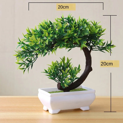 Mini Indoor Bonsai Tree Planters