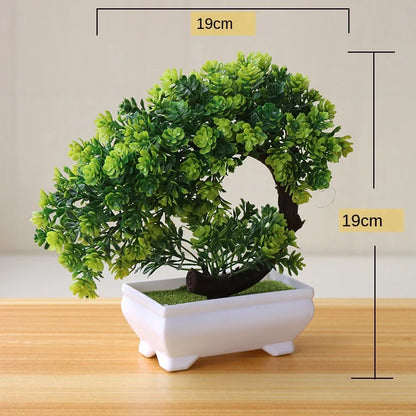 Mini Indoor Bonsai Tree Planters