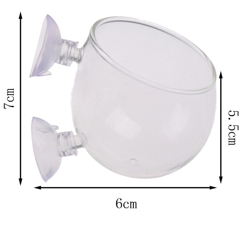 Unique Home Aquarium Glass Fish Tank Vase - Yeezlab