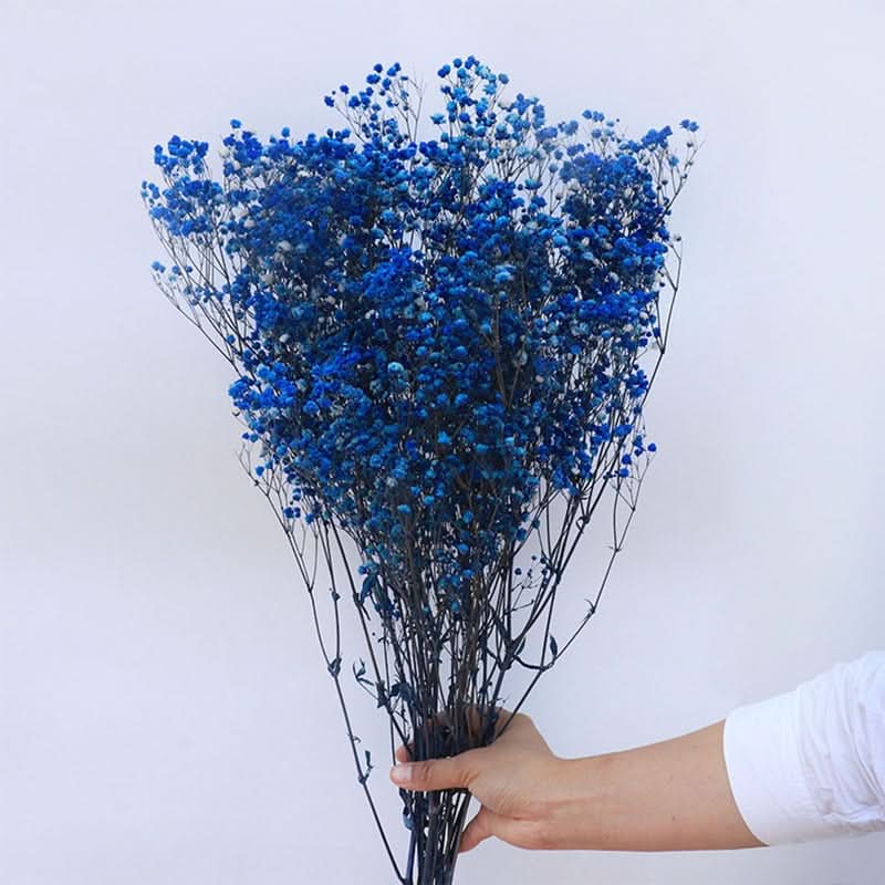 Realistic Air Dried Baby Breath Floral Arrangement