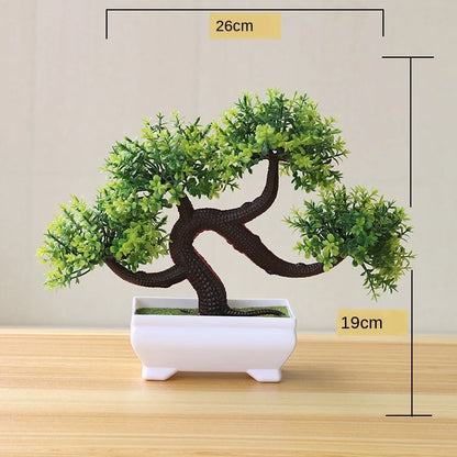 Mini Indoor Bonsai Tree Planters