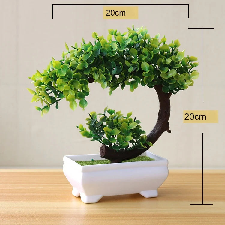 Mini Indoor Bonsai Tree Planters