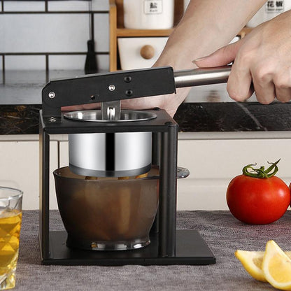 Premium Cold Press Metal Juice Extractor