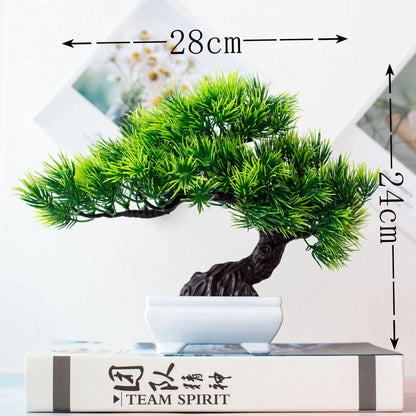 Mini Indoor Bonsai Tree Planters