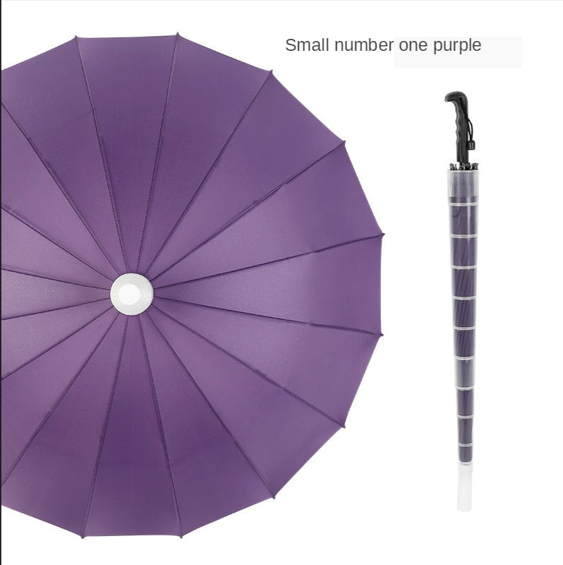 Compact Windproof Auto Open Umbrella