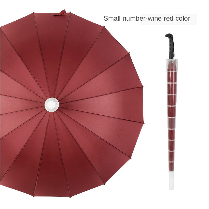 Compact Windproof Auto Open Umbrella