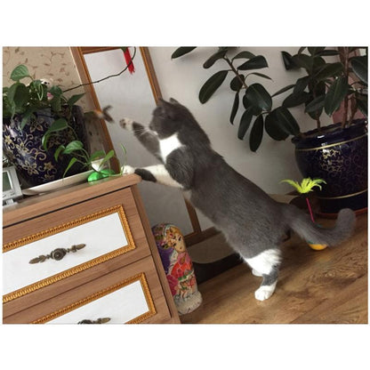 Fun Interactive LED Cat Toy