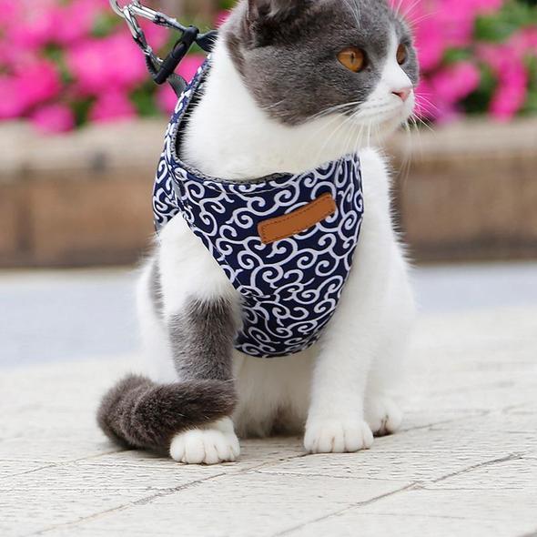 Yeezlab | Pet Vest Harness and Leash Set for Walking Cats