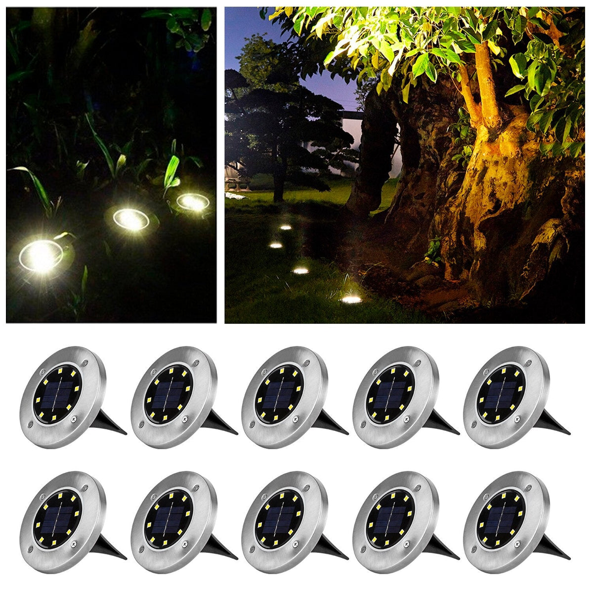 Outdoor Solar Powered LED Garden Lights