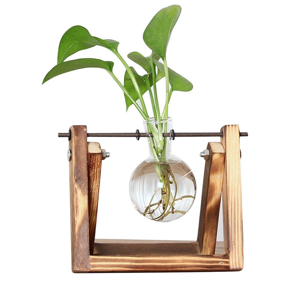 Easy Grow Plant Starter Kits - Yeezlab