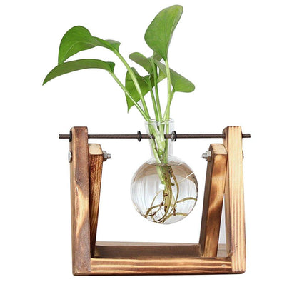 Easy Grow Plant Starter Kits - Yeezlab