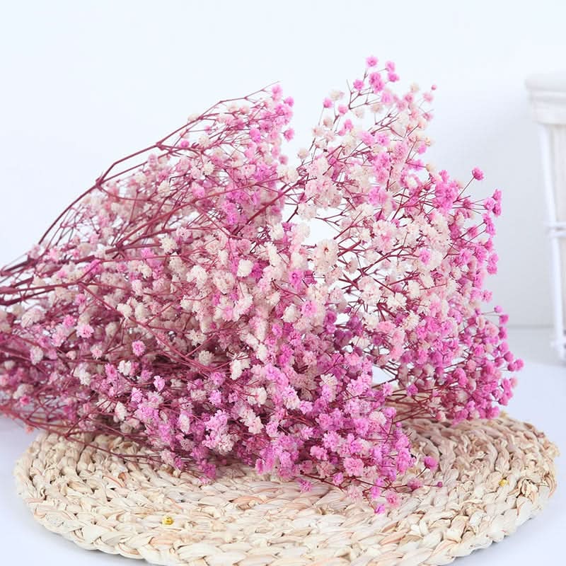 Realistic Air Dried Baby Breath Floral Arrangement