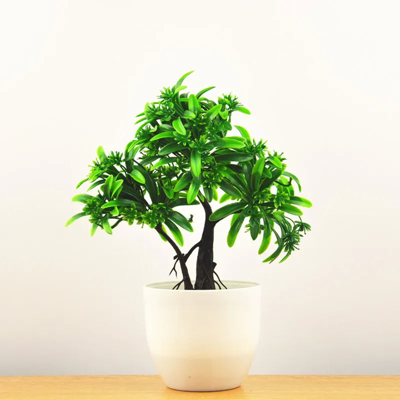 Mini Indoor Bonsai Tree Planters