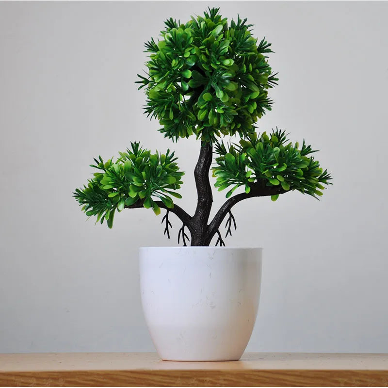 Mini Indoor Bonsai Tree Planters