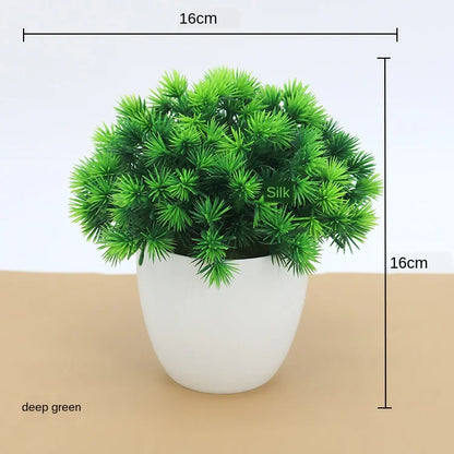 Mini Indoor Bonsai Tree Planters