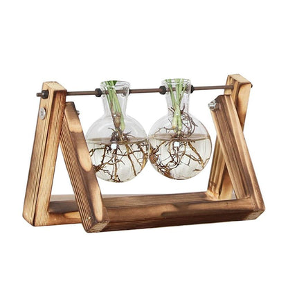 Easy Grow Plant Starter Kits