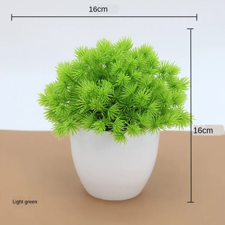 Mini Indoor Bonsai Tree Planters