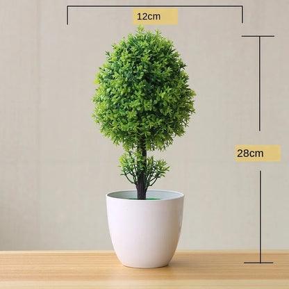 Mini Indoor Bonsai Tree Planters
