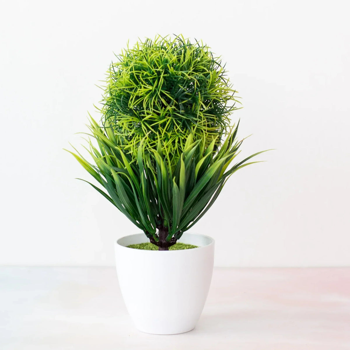 Mini Indoor Bonsai Tree Planters