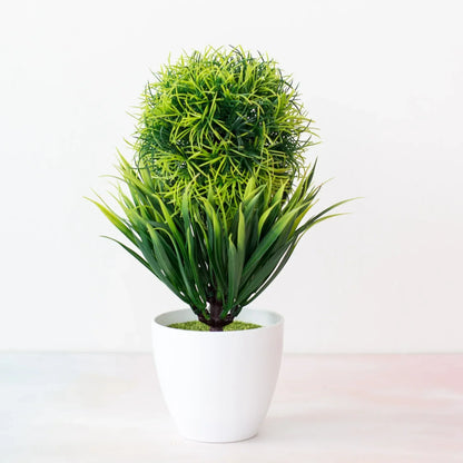 Mini Indoor Bonsai Tree Planters