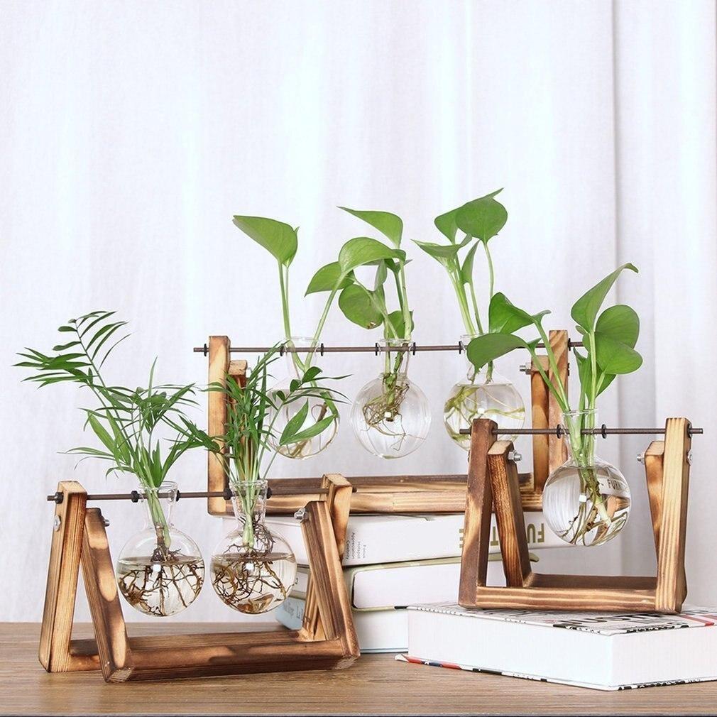 Easy Grow Plant Starter Kits