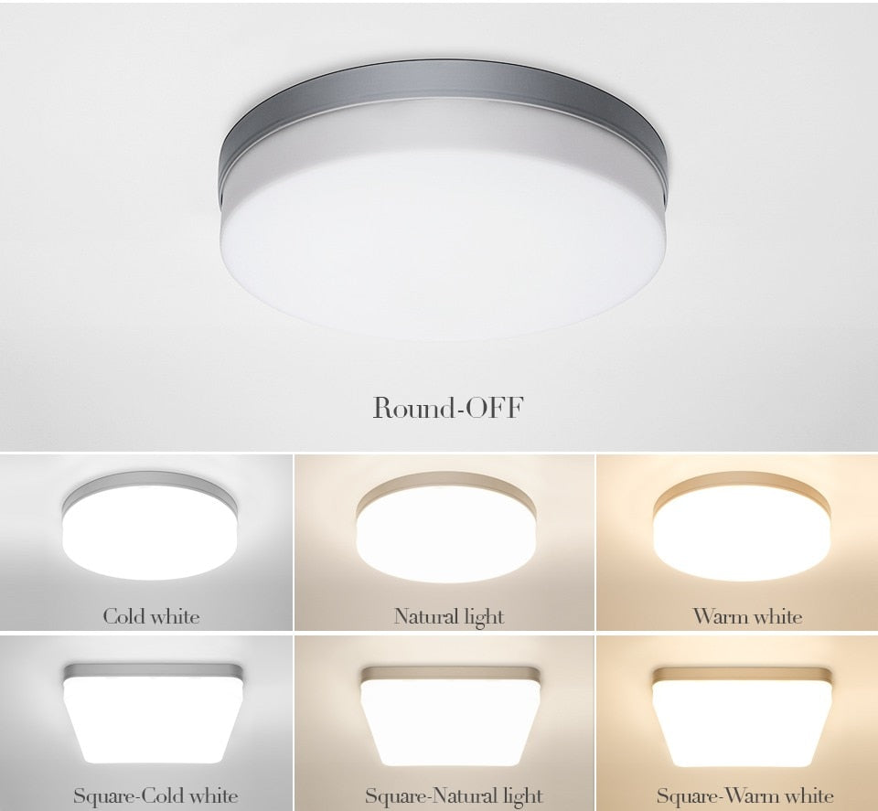 Elegant Home Slim LED Ceiling Lamp
