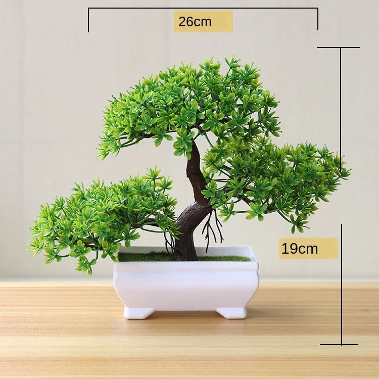 Mini Indoor Bonsai Tree Planters