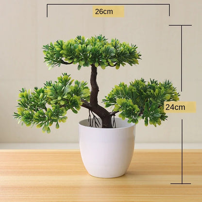 Mini Indoor Bonsai Tree Planters