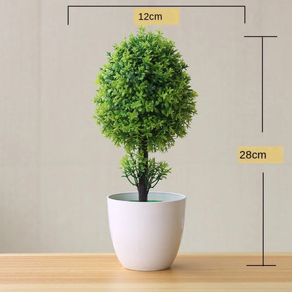 Mini Indoor Bonsai Tree Planters