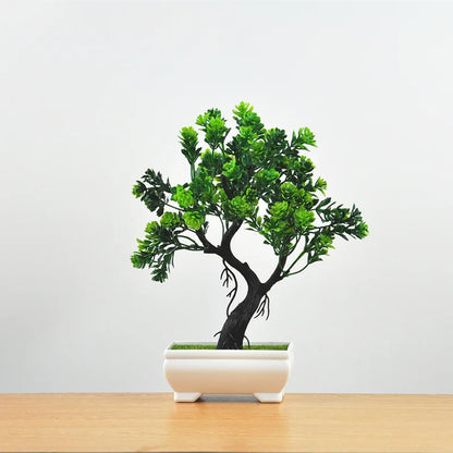 Mini Indoor Bonsai Tree Planters