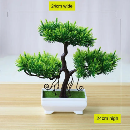 Mini Indoor Bonsai Tree Planters