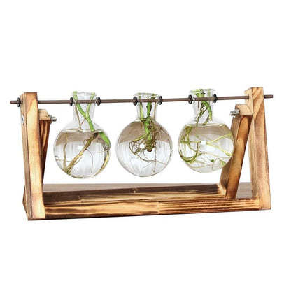 Easy Grow Plant Starter Kits