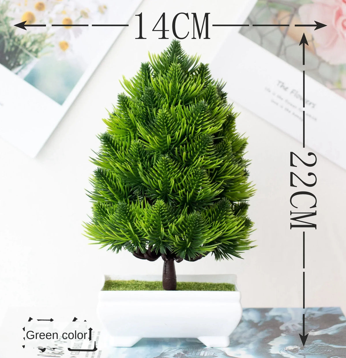 Mini Indoor Bonsai Tree Planters