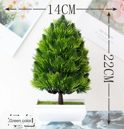 Mini Indoor Bonsai Tree Planters