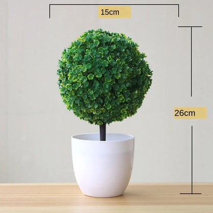 Mini Indoor Bonsai Tree Planters