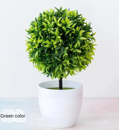 Mini Indoor Bonsai Tree Planters
