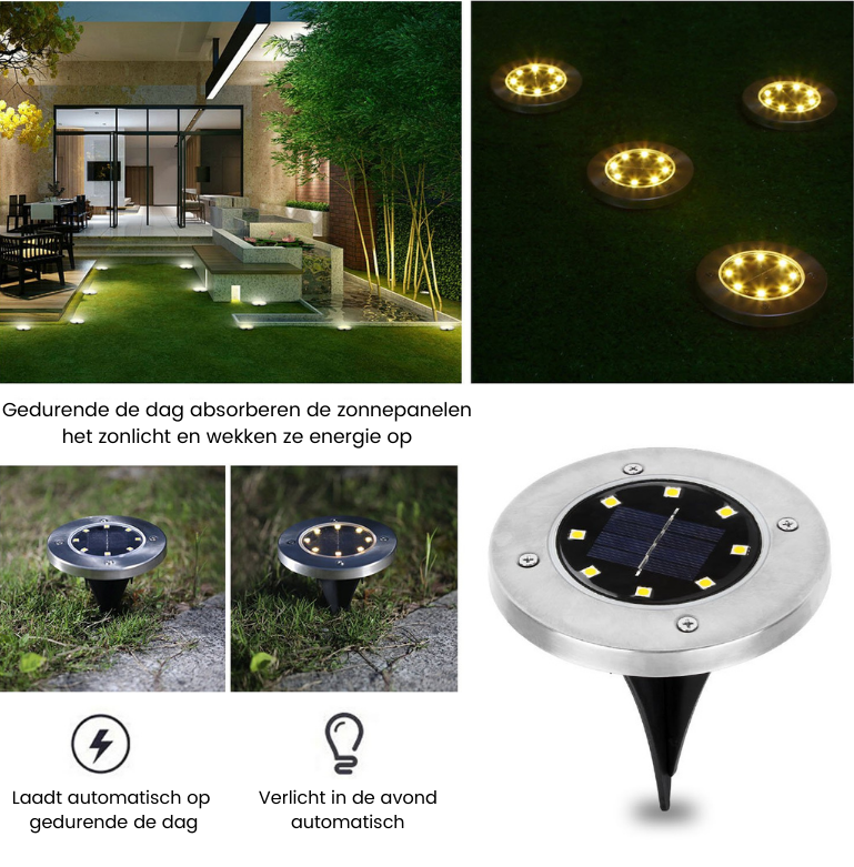 Outdoor Solar Powered LED Garden Lights