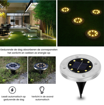 Outdoor Solar Powered LED Garden Lights