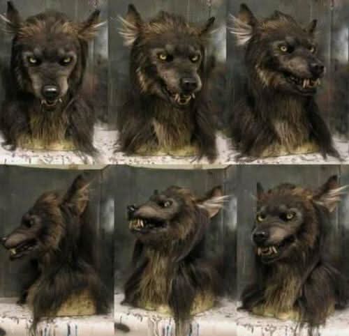 Scary Werewolf Latex Mask for Halloween Costume