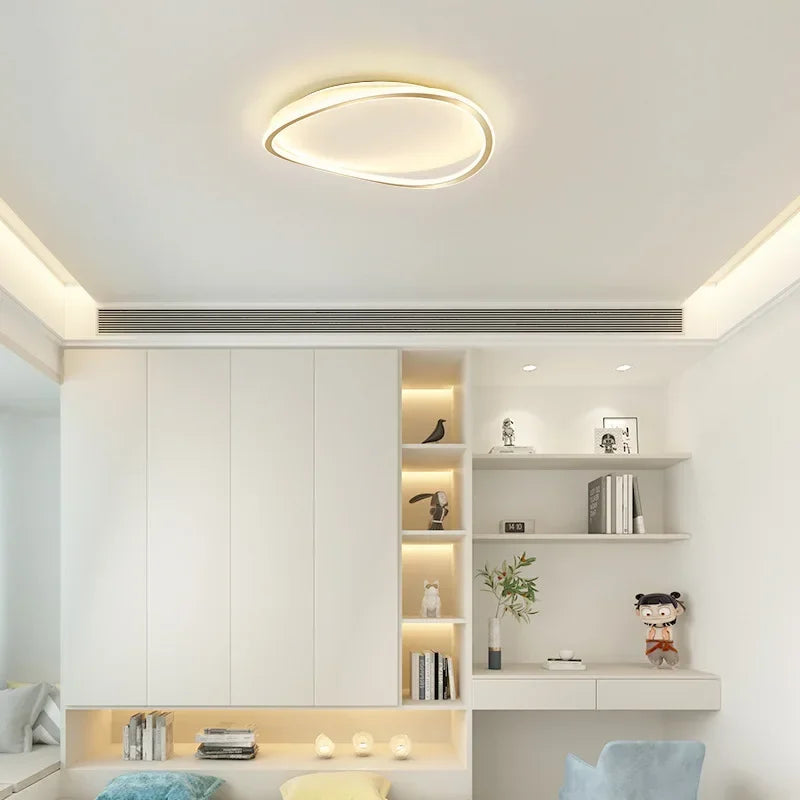 Slim LED Ceiling Fixture