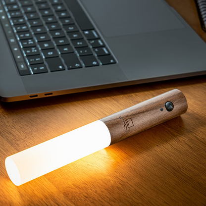 Bright LED Motion Sensor Lamp