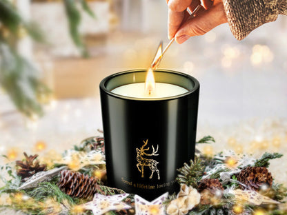 Festive Holiday Mug Essential Oil Gift Set