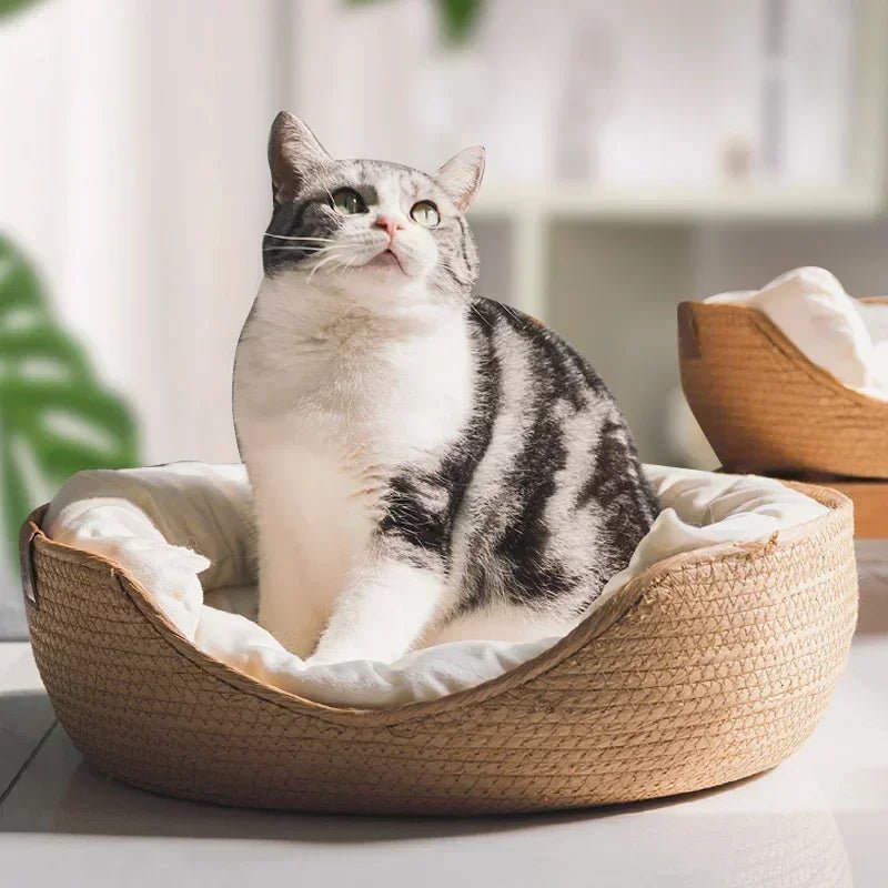 Green Pet Couch with Natural Cotton Cushion